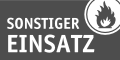 Einsatzlogo Sonstige